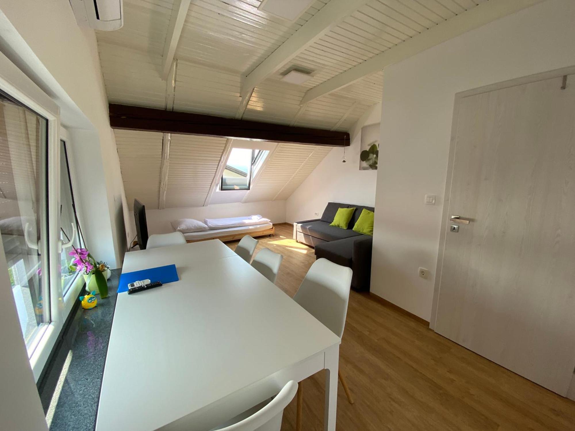 Vila Ada - 4 Cosy Apartments Ljubljana Cameră foto